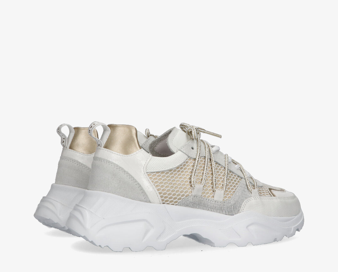 ALICIA SNEAKER White/Gold Leather
