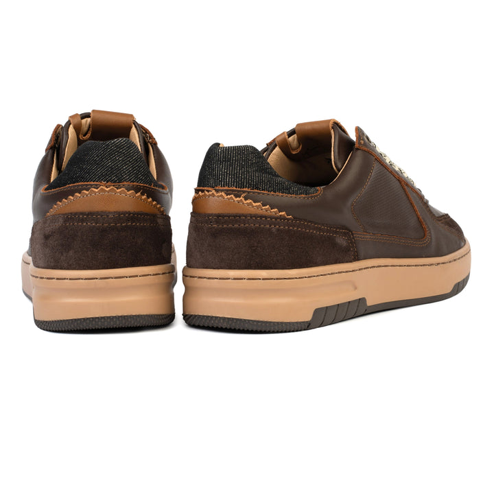 PARIS SNEAKER Dk Brown